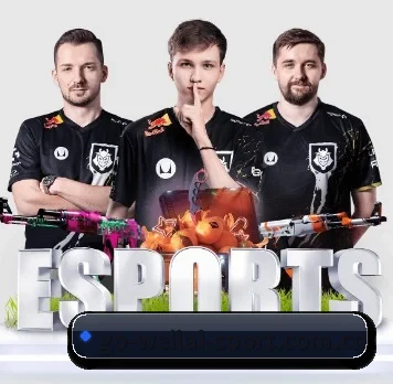 五大服务分区,信息按项目分类（WL SPORTS）