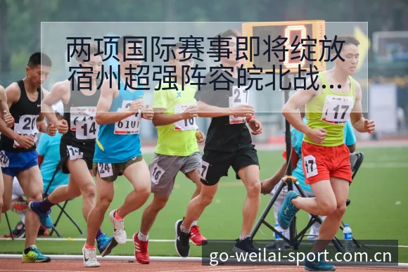 两项国际赛事即将绽放宿州超强阵容皖北战术变化与风险点项目 - 纬来体育
