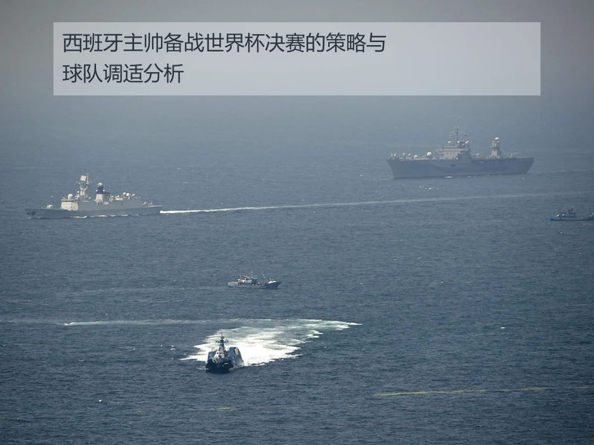 西班牙主帅备战世界杯决赛的策略与球队调适分析